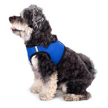 Load image into Gallery viewer, The Worthy Dog Sidekick Harness - Purple