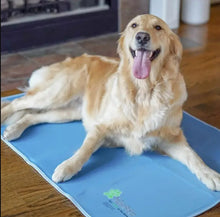 Load image into Gallery viewer, The Green Pet Shop Cool Pet Pad Blue -