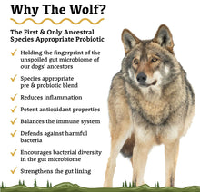 Load image into Gallery viewer, Adored Beast Apothecary Roots - Grounded in Ancient Wisdom - The Wolf | Species Appropriate Probiotic 60mL