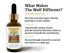 Load image into Gallery viewer, Adored Beast Apothecary Roots - Grounded in Ancient Wisdom - The Wolf | Species Appropriate Probiotic 60mL