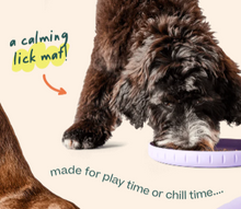 Load image into Gallery viewer, Woof Forager Fly N Feed Dog Toy