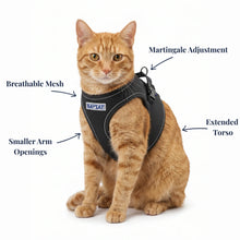Load image into Gallery viewer, BayCat Cat Harness - Covert Black -