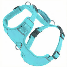 Load image into Gallery viewer, BayDog Chesapeake Bay Dog Harness - Sea Foam -
