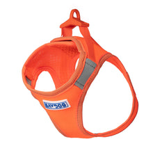 Load image into Gallery viewer, BayDog Liberty Bay Dog Harness - Blaze Orange -