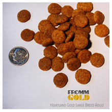 Load image into Gallery viewer, Fromm Dry Dog Food Grain-Free Heartland Gold Large Breed Adult