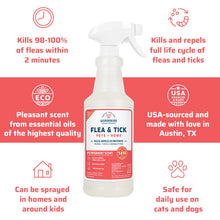 Load image into Gallery viewer, Wondercide Natural Flea &amp; Tick Spray for Pets + Home - Peppermint