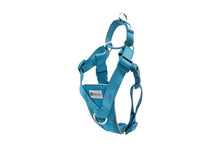 Load image into Gallery viewer, RC Pets Tempo No Pull Dog Harness - Heather Teal