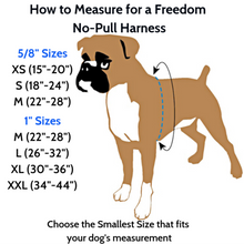 Load image into Gallery viewer, 2 Hounds Design Freedom No-Pull Harness Deluxe Training Package - 5/8" - Kelly Green/Neon Green
