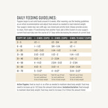 Load image into Gallery viewer, The Honest Kitchen Dry Dog Food Clusters Grain-Free Puppy Chicken Recipe