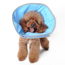 Load image into Gallery viewer, DOGO Get Better Soft Recovery Collar Blue