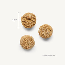 Load image into Gallery viewer, The Honest Kitchen Biscuit Dog Treats Goat's Milk N' Cookies Pumpkin &amp; Cinnamon 8oz Bag