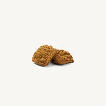 Load image into Gallery viewer, The Honest Kitchen Biscuit Dog Treats Bone Broth Bites Roasted with Turkey Bone Broth &amp; Pumpkin 8oz Bag